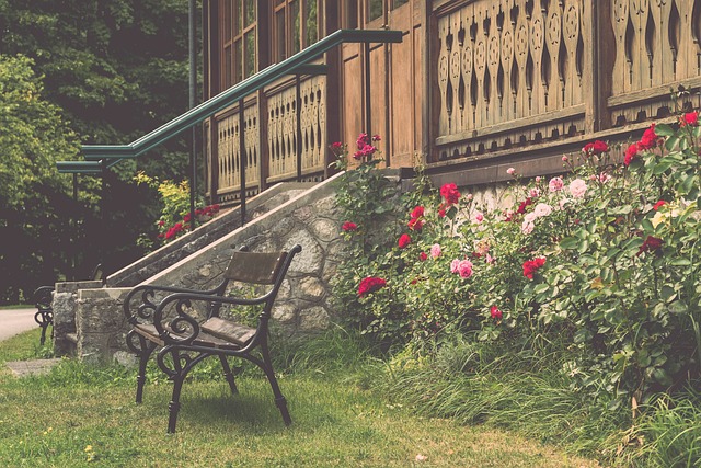 是职业球员 是职业球员