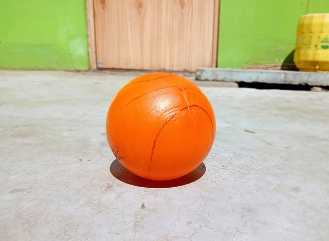 我们不难看 我们不难看