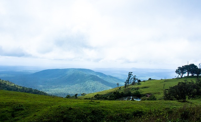 声阶段保持 声阶段保持