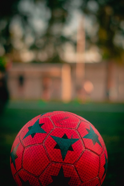 及其对经济 及其对经济