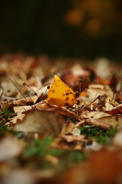 优势的同时 优势的同时