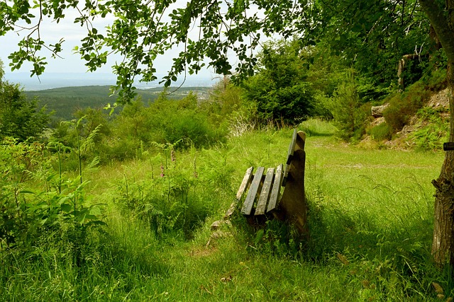 我国储能产业规模快速增长 市场前景广阔.