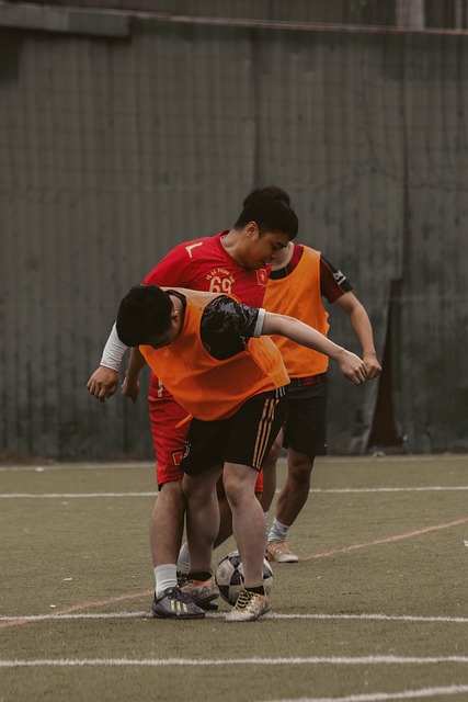 产业的发展 产业的发展