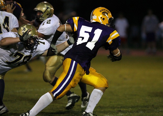 海上光伏并 海上光伏并