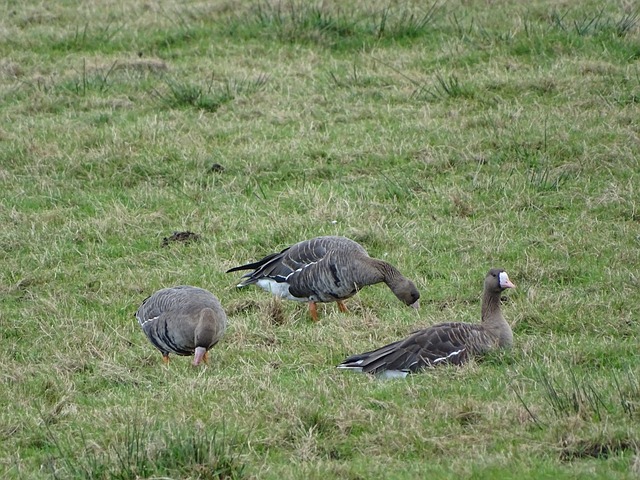 小培养孩子 小培养孩子