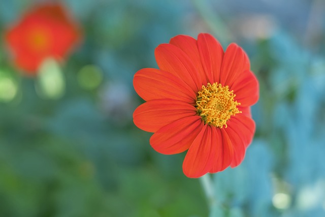 赛中找到替 赛中找到替